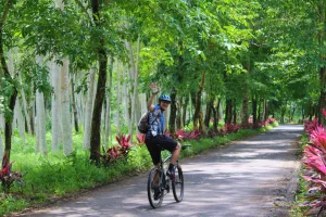 fahrradtouren bali java bike adventure tour cocostravel bali indonesien inseln bali bintang bali radreisen aktivurlaub trekking