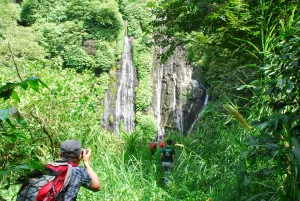 Regenwald Trekking Cocostravel Tagestouren Bali aktivurlaub regenwald trekking bali wandern tagestour bedugul munduk wasserfaelle