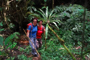 regenwald trekking bali wandern tagestour bedugul munduk wasserfaelle