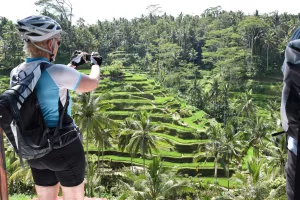 cocostravel radreisen Bali entdecken bali bike bicycle rent ubud, bike adventure inseln bali bike tour fahrradtour, rad und reisen, radreisen mit bus, bali indonesien inseln bali sumatra radreisen aktivurlaub trekking