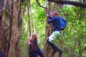 regenwald trekking bali wandern tagestour bedugul munduk wasserfaelle cocostravel