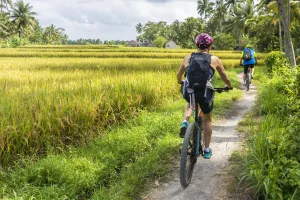cocostravel radreisen Bali entdecken bali bike bicycle rent ubud, bike adventure inseln bali bike tour fahrradtour, rad und reisen, radreisen mit bus, bali indonesien inseln bali sumatra radreisen aktivurlaub trekking