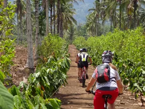 Java Bali Erlebnis Radreise Bike tour cocostravel bali indonesien inseln bali bintang bali radreisen aktivurlaub trekking
