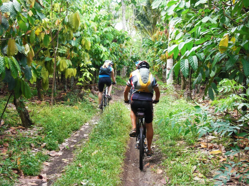 Biken in Bali & Java - Regenwald Single Trail
