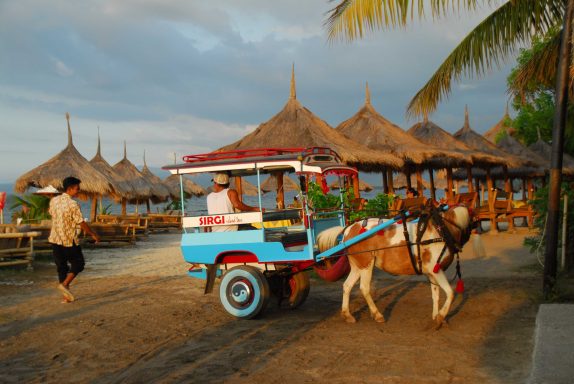 Entdecken Sie die Walhaie auf unserer 15-tägigen Aktivtour von Bali nach Sumbawa: Biken, Schnorcheln, Segeln und Relaxen