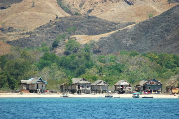 Entdecken Sie den Komodo-Nationalpark: Heimat der Komodowarane und faszinierender Unterwasserwelt.