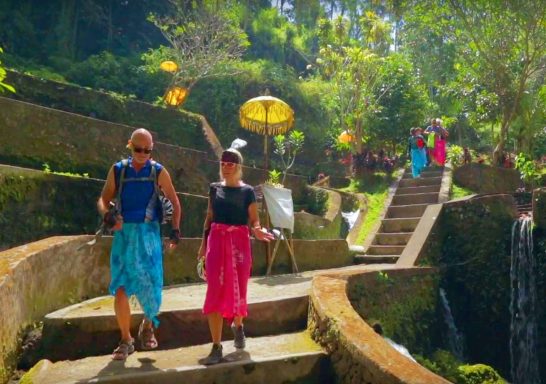 Erleben Sie eine unvergessliche Tagestour mit dem Bike zu den Reisterrassen und dem heiligen Wasser in Bali!