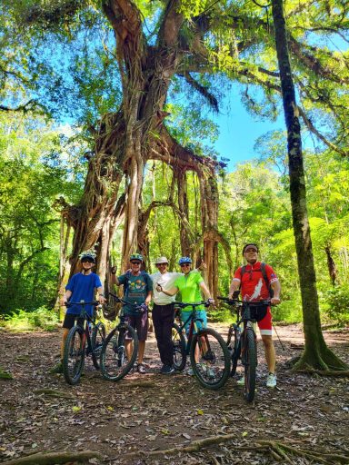 Erleben Sie eine unvergessliche Radtour von Bedugul nach Ubud mit Tempelbesuch und atemberaubender Natur!