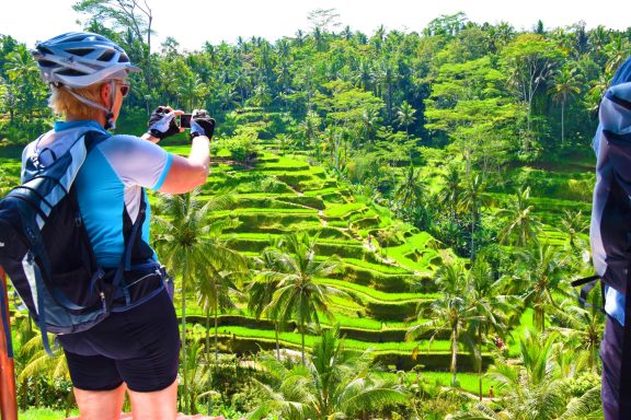 Erleben Sie eine unvergessliche Tagestour mit dem Bike zu den Reisterrassen und dem heiligen Wasser in Bali!