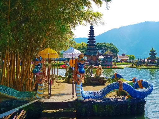 Erleben Sie eine unvergessliche Tagestour mit dem Bike zu den Reisterrassen und dem heiligen Wasser in Bali!