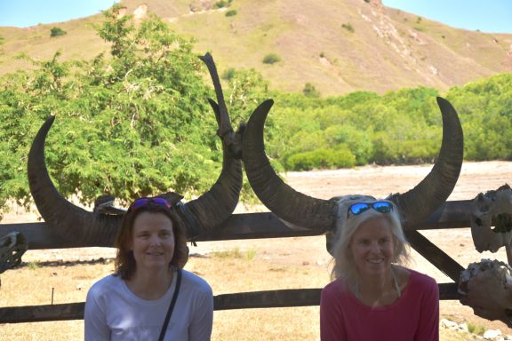 Entdecken Sie den Komodo-Nationalpark: Heimat der Komodowarane und faszinierender Unterwasserwelt.