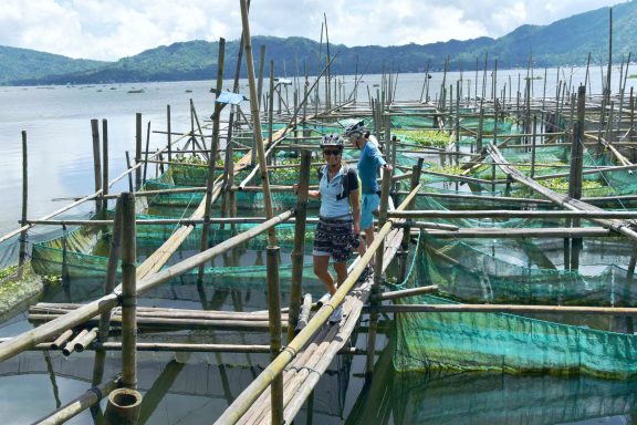 Entdecken Sie Sulawesi: 12-tägiges Bike-Abenteuer durch Vulkane, Regenwälder und unvergessliche Erlebnisse!