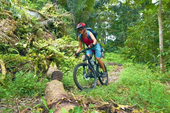 Erlebe bei einer Bike Adventure Tour in Java die exotische Pflanzenwelt der Regenwälder und im dichten Dschungel hautnah und unverfälscht