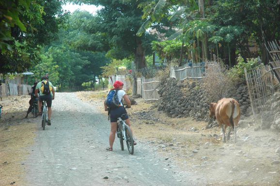 Ein Traum wird wahr - Erlebnis Bike Tour von den Insel Bali, Lombok, Gili Trawangan, Moyo Sumbawa zu den Komodowaranen.