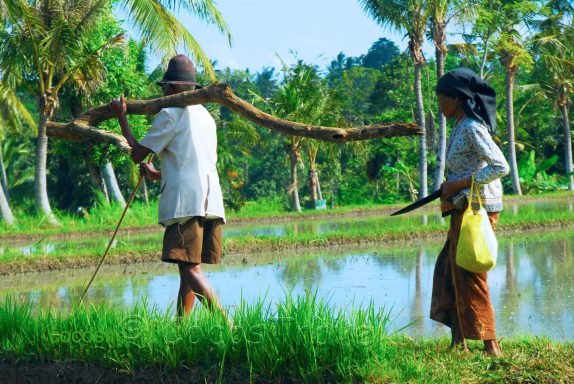 Entdecke Bali: Vielfalt, Abenteuer, Kultur und unvergessliche Erlebnisse abseits des Massentourismus!