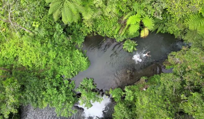 Erleben Sie eine unvergessliche Tagestour mit dem Bike zu den Reisterrassen und dem heiligen Wasser in Bali!