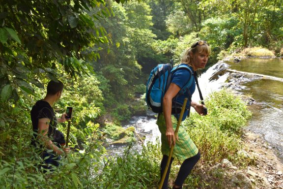 Erleben Sie Regenwald-Trekking und entdecken Sie die Geheimnisse des Kopi Luwak, des teuersten Kaffees der Welt!