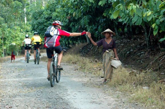 Entdecken Sie die Java Bike Erlebnis Tour: 8 Tage von Bali zum Vulkan Ijen. Kontaktieren Sie uns für mehr Infos!