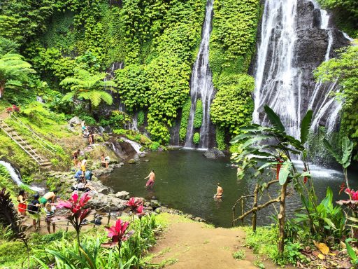 Erleben Sie eine unvergessliche Tagestour mit dem Bike zu den Reisterrassen und dem heiligen Wasser in Bali!