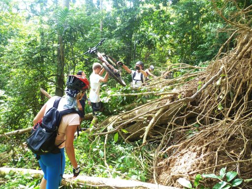 Erleben Sie den Dschungeltrail in Bali & Java: Abenteuer, Geschichte und unvergessliche Bike-Touren!