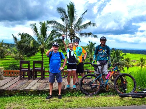 Erleben Sie die Jatiluwih Reisterrassen mit einer geführten 1-Tages-Radtour von Batukaru bis zum Schmetterlingspark!