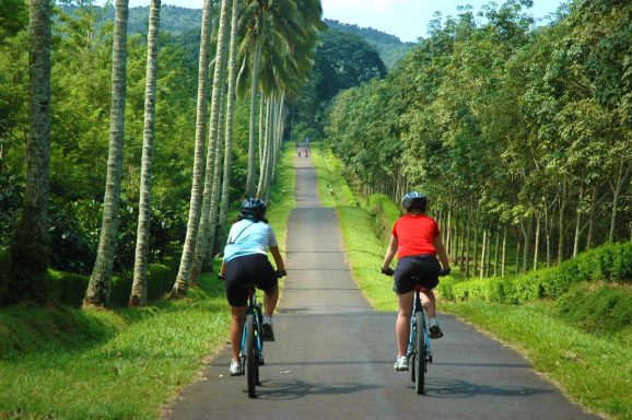 Erleben Sie den Osten Javas: Vulkane, Kaffeeplantagen und Traumstrände für Radfahrer und Naturfreunde.