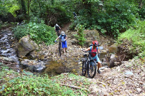 Erlebe bei einer Bike Adventure Tour in Java die exotische Pflanzenwelt der Regenwälder und im dichten Dschungel hautnah und unverfälscht