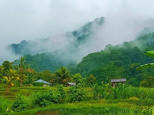 Erlebe die 2-tägige Wasserfall Bike/Trekking Tour in Bali: Abenteuer, Natur und atemberaubende Wasserfälle!