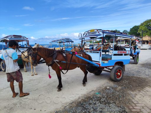 Entdecken Sie Lombok: Traumstrände, Vulkan Rinjani, Abenteuer und unberührte Natur östlich von Bali!