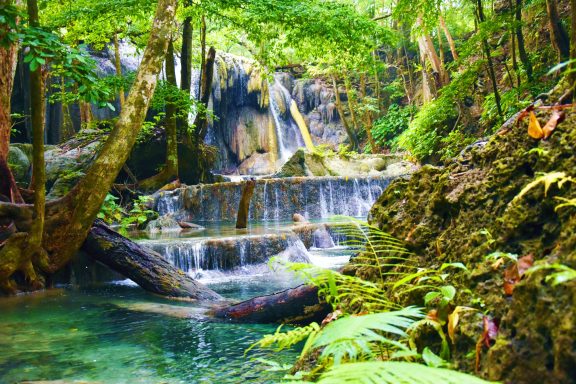 Entdecken Sie die Walhaie auf unserer 15-tägigen Aktivtour von Bali nach Sumbawa: Biken, Schnorcheln, Segeln und Relaxen