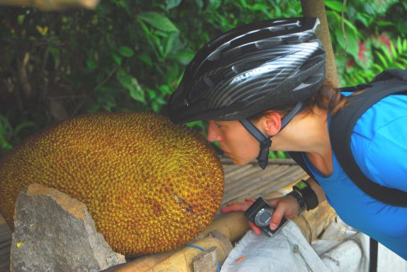 Erleben Sie 2 Tage Insel Manjangan: Radfahren durch Reisfelder & Schnorcheln im Paradies!