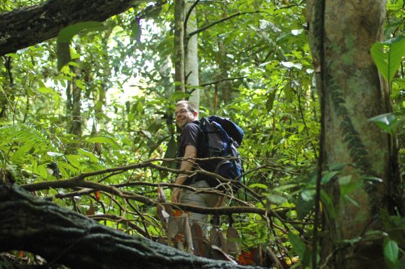 Im Gunung Leuser Nationalpark auf der Insel Sumatra leben noch sehr viele wilde Tiere unter anderem die Orang-Utans.