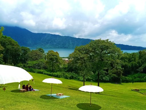 Erleben Sie eine unvergessliche Radtour von Bedugul nach Ubud mit Tempelbesuch und atemberaubender Natur!