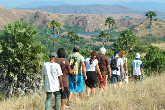 Entdecken Sie den Komodo-Nationalpark: Heimat der Komodowarane und faszinierender Unterwasserwelt.