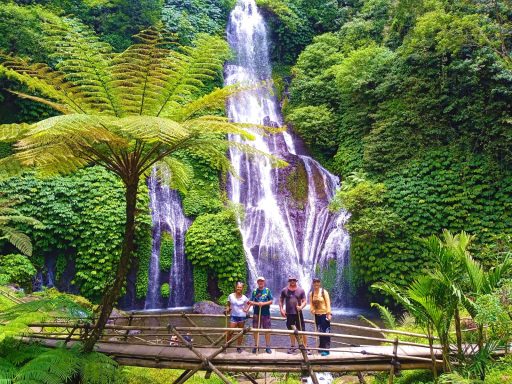 Erleben Sie eine unvergessliche Tagestour mit dem Bike zu den Reisterrassen und dem heiligen Wasser in Bali!