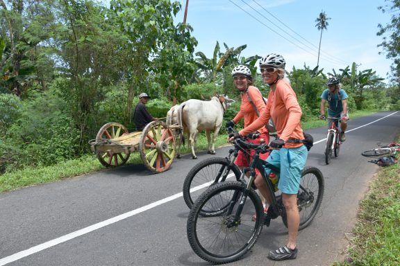 Entdecken Sie Sulawesi: 12-tägiges Bike-Abenteuer durch Vulkane, Regenwälder und unvergessliche Erlebnisse!