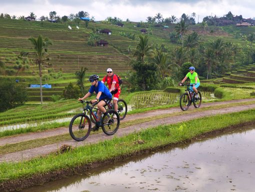 Beim Biken In Bali erleben sie kunstvoll geformte Reisterrassen, immergrünen tropischen Regenwald und eine einzigartige Kultur 