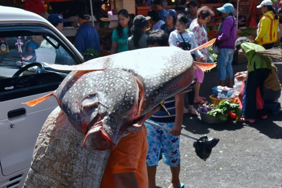 Entdecken Sie Sulawesi: 12-tägiges Bike-Abenteuer durch Vulkane, Regenwälder und unvergessliche Erlebnisse!