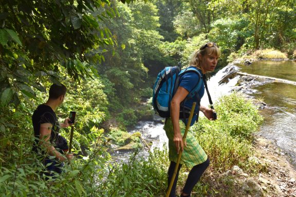 Erlebe bei einer Bike Adventure Tour in Java die exotische Pflanzenwelt der Regenwälder und im dichten Dschungel hautnah und unverfälscht