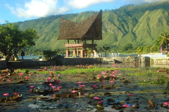 Entdecken Sie Flores: Kap der Blumen, Komodo, Tauchen, Vulkan Kelimutu & malerische Reisfelder.