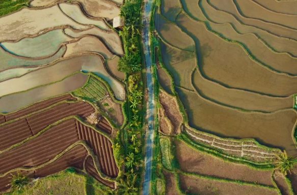 Entdecken Sie Lombok: Traumstrände, Vulkan Rinjani, Abenteuer und unberührte Natur östlich von Bali!