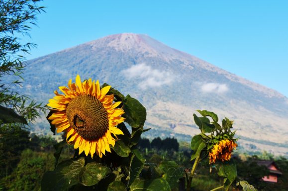 Entdecken Sie Lombok: Traumstrände, Vulkan Rinjani, Abenteuer und unberührte Natur östlich von Bali!