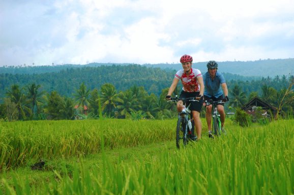 Erleben Sie 2 Tage Insel Manjangan: Radfahren durch Reisfelder & Schnorcheln im Paradies!