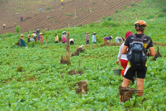 Erleben Sie die "Teufelsmine": 2-tägige Trekkingtour zum Vulkan Ijen mit Schnorcheln und traumhaften Landschaften!