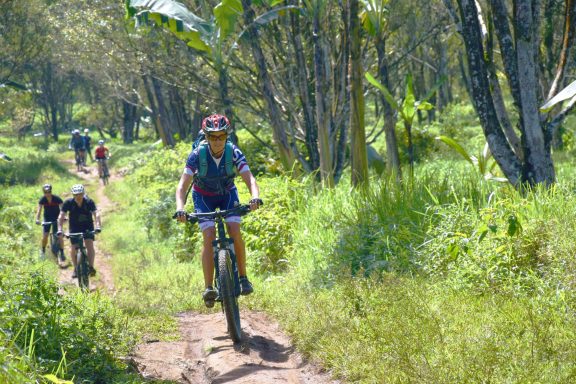 Erlebe bei einer Bike Adventure Tour in Java die exotische Pflanzenwelt der Regenwälder und im dichten Dschungel hautnah und unverfälscht