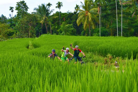 Entdecken Sie die Walhaie auf unserer 15-tägigen Aktivtour von Bali nach Sumbawa: Biken, Schnorcheln, Segeln und Relaxen