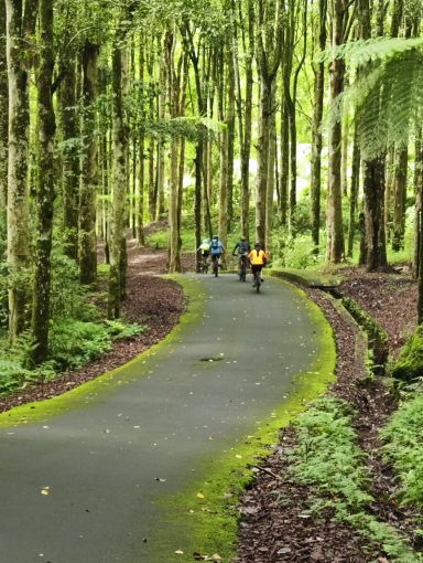 Erleben Sie einen unvergesslichen Tag im Botanischen Garten Bedugul und den Reisterrassen von Jatiluwih!