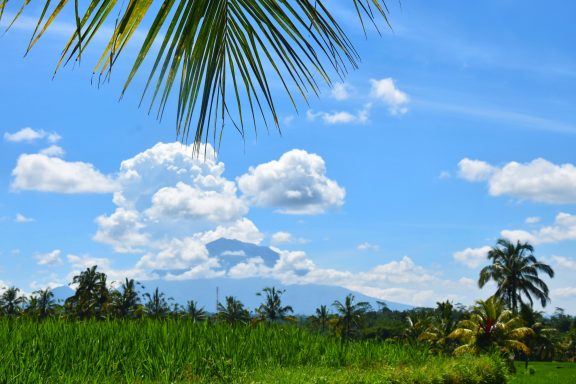 Erleben Sie eine unvergessliche Tagestour mit dem Bike zu den Reisterrassen und dem heiligen Wasser in Bali!