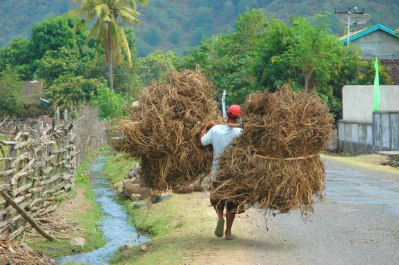 Entdecken Sie Sumbawa: unberührte Strände, Abenteuer am Tambora und ein Paradies für Surfer und Naturliebhaber.