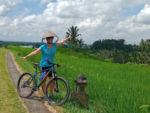 Erleben Sie die Jatiluwih Reisterrassen mit einer geführten 1-Tages-Radtour von Batukaru bis zum Schmetterlingspark!